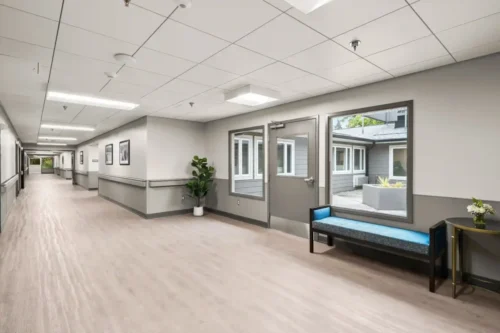 A spacious, well-lit hallway features light wood flooring and neutral walls. It includes framed photos, a blue bench, and a green plant, exuding a calm, welcoming atmosphere.